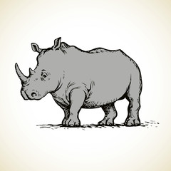 Obraz na płótnie Canvas Rhinoceros. Vector drawing