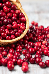 Harvest fresh red cranberries in wicker basket © Iuliia Metkalova