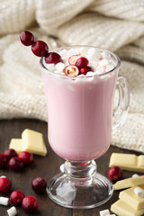 Hot white chocolate with cranberry, knitted blanket and marshmallows on dark wooden table. Winter Christmas time. Selective focus. 