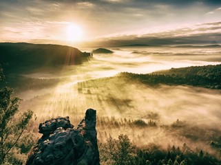 Misty awaking of  beautiful fairy valley. Peaks of rocks trim creamy fog