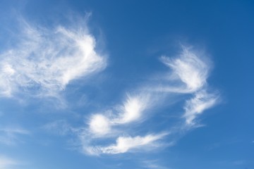 Beautiful sky with fluffy clouds
