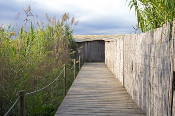 bird hide