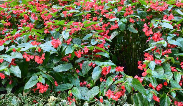 PARQUES, JARDINES, PARQUES URBANOS, LUGAR DE INTERES, VISITAR, PARQUES Y JARDINES, PLANTAS, FLORES, AGUA, VEGETACION, PALMERAS, FUENTES, 