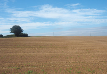 English country panorama in Salisbury