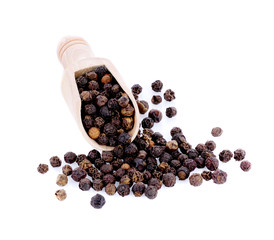 pepper corn in scoop  on white background