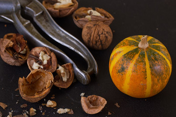 walnuts and pumpkin on rustic background
