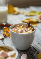 Homemade hot chocolate with marshmallows and cinnamon stick. Sha