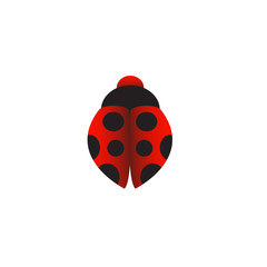 Ladybug Vector