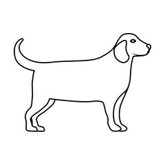 Dog icon. Pet animal and nature theme. Isolated design. Vector illustration