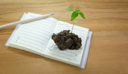 Seedlings notebook and pencil on wood floors.