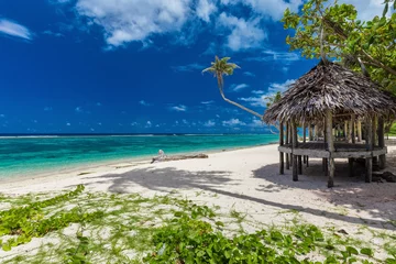 Tropisch lebhafter Strand auf der Insel Samoa mit Palmen und Fale © Martin Valigursky