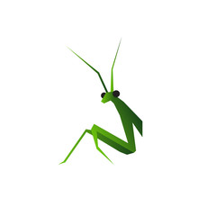 Mantis Vector