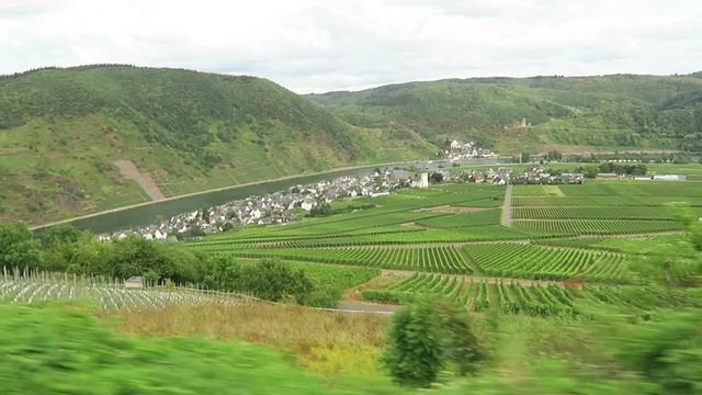 driving along at vineyards of Moselle river. In background village Beilstein in Rhineland-Palatinate. (Germany)