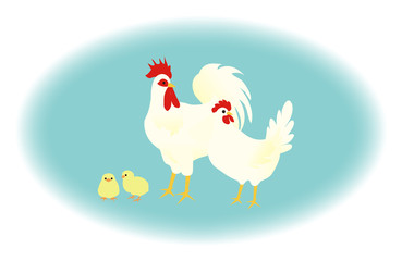 ニワトリ　干支　レグホン　振り向く