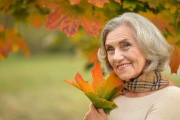 Beautiful middle-aged woman on the background of autumn leaves