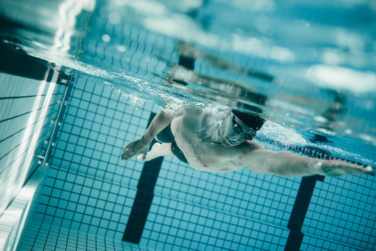 Professional male swimmer inside swimming pool