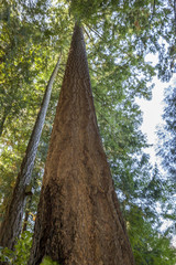 Canada, British Columbia