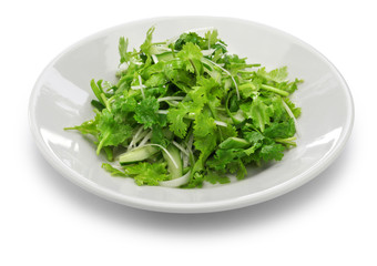 cilantro salad, coriander salad