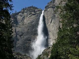 Fototapeta premium yosemite valley, USA 