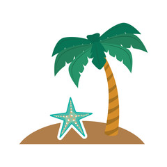 Fototapeta na wymiar summer palm tree and blue seastar icon over white background. vector illustration