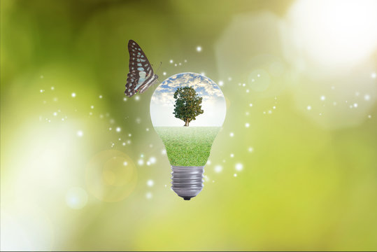 hand holding light bulb against tree with butterfly on green nat
