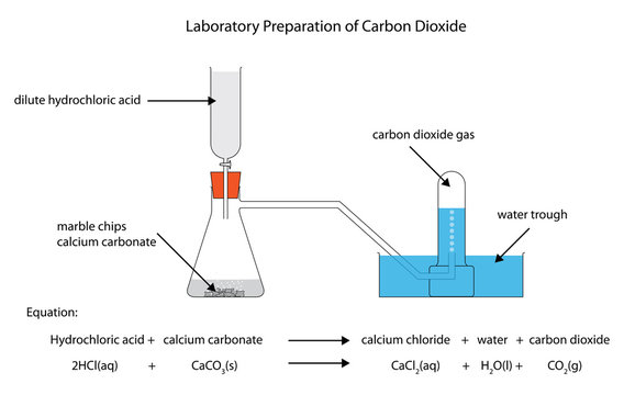 Diagram of the laboratory preparation of carbon dioxide