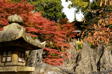 滋賀　石山寺の紅葉