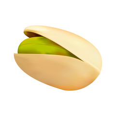 pistachio, vector graphics