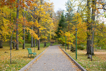 Fototapeta na wymiar Autumnal park walkway with benches and lamp posts