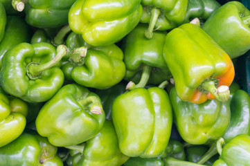 Obraz na płótnie Canvas Fresh Green Bell Pepper