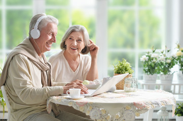 Senior couple  with laptop