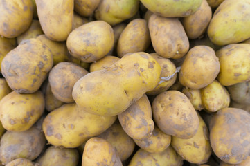 potatoes raw vegetables food in market