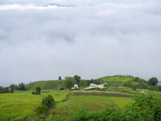 Fototapeta na wymiar Mountain Mist, at Khao-kho Phetchabun,Thailand