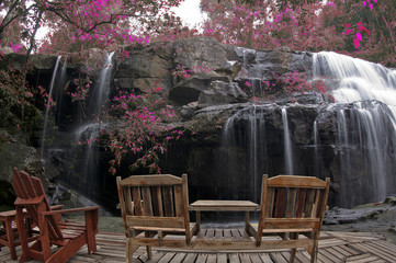 wooden chair in autumn forest at pang sida waterfall National Park sa kaeo Thailand - obrazy, fototapety, plakaty