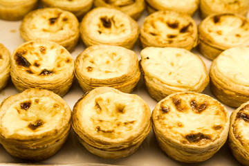 Tray of freshly baked delicious Portuguese egg tarts