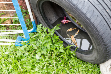 Used tyres potentially store stagnant water and breed mosquitoes