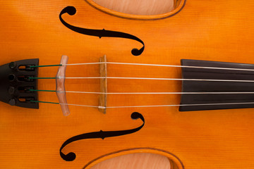 Detail closeup of a violin