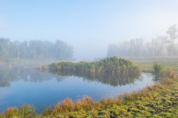 Shore of a foggy lake at sunrise in autumn