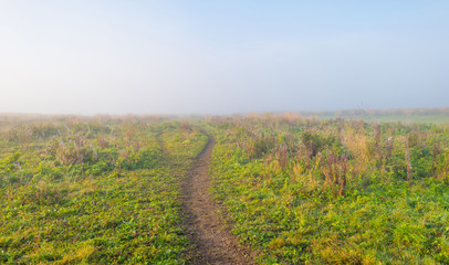Path through a foggy field at sunrise