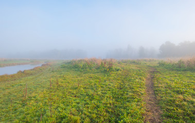 Obraz na płótnie Canvas Path through a foggy field at sunrise