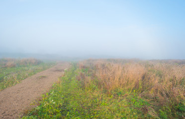 Path through a foggy field at sunrise