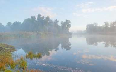 Fototapeta na wymiar Shore of a foggy lake at sunrise in autumn