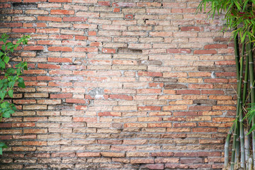 Old brick wall with bamboo for background