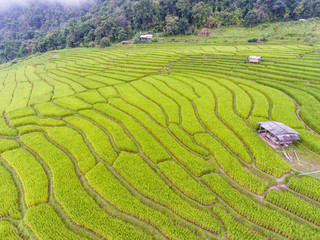 Terraced Rice Field in Hill, Chaingmai, Thailand