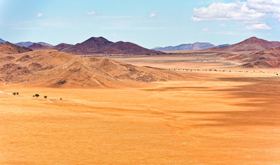 Unberührtes Tal mit Bäumen, Namibrand, Namibia, endlose Weite am Rand der Namib, Namibrand Natursschutzgebiet, Namibia