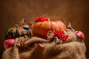 Colorful autumn pumpkins on wooden