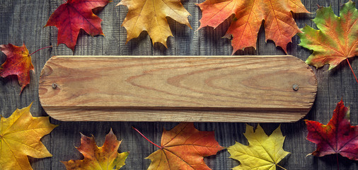 autumn background with signboard, orange leaf on old grunge wood
