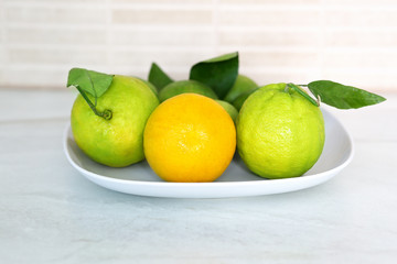 Different refreshing citrus fruits. Cocktail ingredients. Fruit set.Green lemon