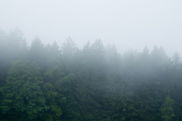 Nebel über dem  Bayerischen Wald