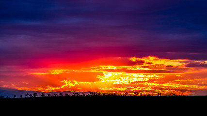 Like a bright burning hole in the sky
The beginning of the blue hour. Photo taken during the sunset in the Trakia region in Bulgaria. Dramatic clouds and colors. Some trees.